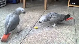 Puck & Flip spelen met Funky Beans (speelgoed)