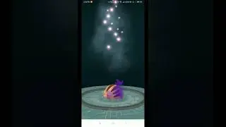 !!!Pok&eacute;mon Go!!! Purifying Shadow Swinub