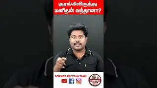 Did man come from ape? |SFIT | human evolution | tamil
