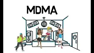The effects of MDMA
