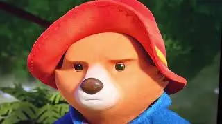 Paddington Hard Stare at Goose 🪿
