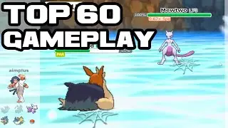 A Scrappy Stoutland And A Dream | Random Battles to the Top: Pokemon Showdown | Episode 10