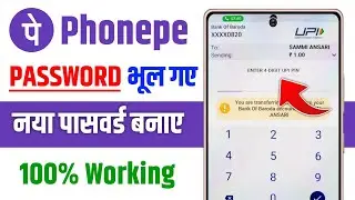 What to do if you forgot your PhonePe password | How to find out if you forgot your PhonePe password