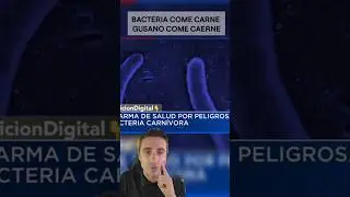 Bacteria y gusano come carne.#supervivencia #curiosidades #sabiasque