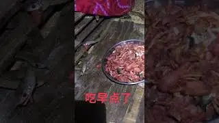 Snake and food 14