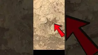 TURTLE on Mars?! 🐢 NASA Rover Photo Shocks Scientists!