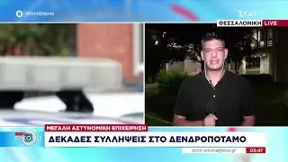 Δεκάδες συλλήψεις στον Δενδροπόταμο μετά από μεγάλη αστυνομική επιχείρηση | Πρώτη Εικόνα