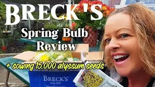 Распаковываем весенние луковицы Breck&rsquo;s 🌸 + Посев 15 000 семян алиссума для цветущего сада!