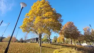 معيشة اوروبا من الداخل 
