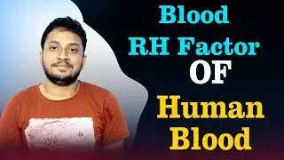 RH Factor in Blood Group System Bengali | Class 9 & 11 | Pavel Dutta | The Phoenix