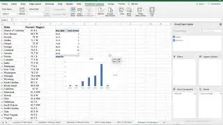 Example 1.4: Making a Histogram I on Excel