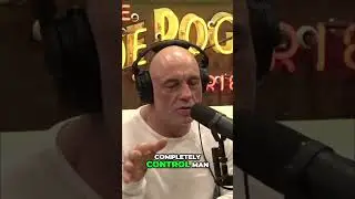 Underwater Base  Mysterious Species Near Bermuda Triangle  #joerogan #jrefunnymoments #interview