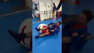 Rolling KNEE BAR compilation. Leg lock seminar in Switzerland. Sambo academy #Shorts #sambo #judo