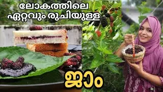 മൾബറി വെച്ച് അടിപൊളി ജാം | How to prepare jam at home | mulberry jam no colour& preservatives