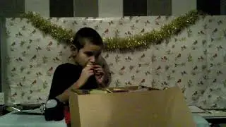 Biscuit Baron #4 - Christmas 🎅 ( very delayed)