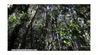 Yumbilla falls - waterfalls of the world