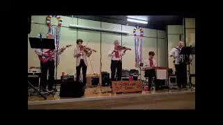 Sparkling Tones ( Wedding Presentation) Polka