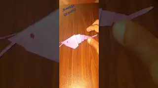 how to make #jheenga #prawns #paper #craft