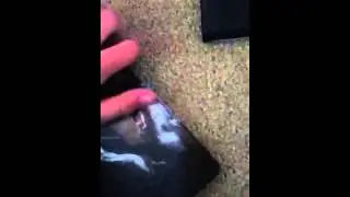 Black Ops 2 Hardened Edition