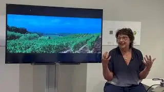 Nancy Willis Artist Talk