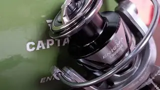 Penampilan Mewah Harga Murmer Cocok Untuk Main Di Kolam & Liaran | Captain Enigma