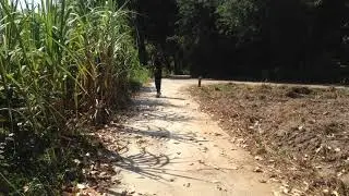 ฝึกเล่น mini cruiser board