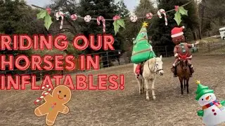 VLOGMAS DAY 23!!! Riding our horses in inflatables!😂