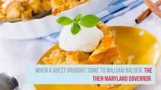 Best Ice Cream in Orlando FL | LAVS GUIDE