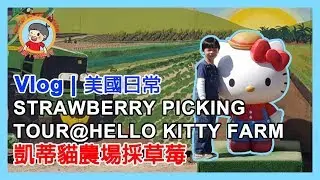[Fun Activity] Strawberry Picking Tour@Hello Kitty Farms (with subtitle) [出遊] 田中農場採草莓