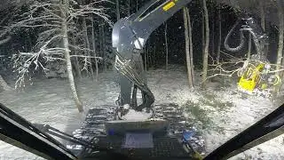 Ponsse Beaver C44+ H6, short video, birch thinning/koivikko harvennus 31.01.2022.