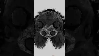 ПАУТИНА ПО КОЖЕ 20.01.25 #spider #spiderman #killsus #animation #music