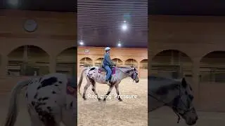 Урок верховой езды: Возвращение к основам