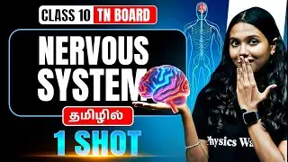 NERVOUS SYSTEM in One Shot | SCIENCE in Tamil | Class 10 TN Board