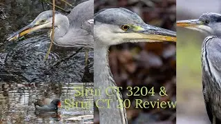 Sirui CT 3204 & Sirui CH 20 Review Day 1 Canon R7 & Canon 200 800 4K