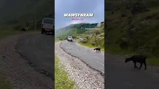 MAWSYNRAM// Meghalaya// wettest place on the earth// #travel #meghalaya