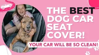 Best Dog Car Seat Cover from DGS Pet Products
