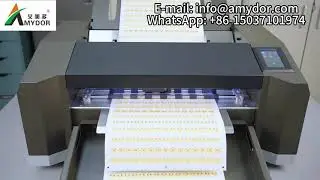 High precision Automatic Edge-following Self-cutting Digital Die-cutting Machine