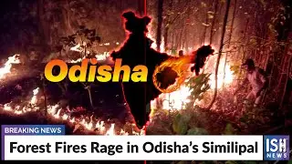Forest Fires Rage in Odisha&rsquo;s Similipal
