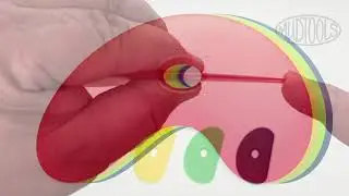 Polymer Ribs - Flex