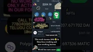 meta force plan in telugu