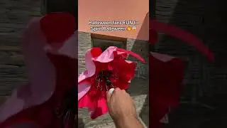 You can&rsquo;t miss this for this Halloween 🤭 #halloween #foryou #halloween2025