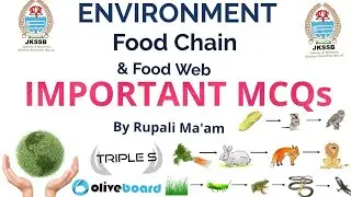 Environment - Food Chain - Food Web || Important MCQs for JKSSB Exams by Rupali Ma'am