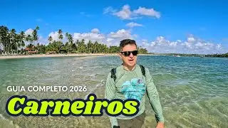 Praia dos Carneiros (PE) em 2026 : como chegar, o que fazer, onde ficar e dicas completas em 4K