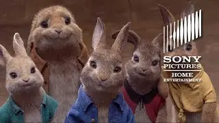 PETER RABBIT - Now on Digital