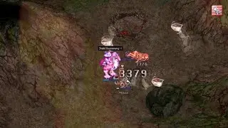 [OriginsRO] Crusader (Shield Boomerang + FAR) at Medusa (375k exp/min / 413k exp/min with exp shoes)