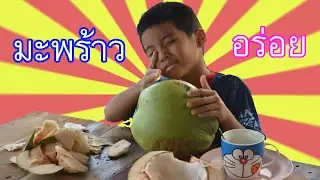 เช เชฟ กินมะพร้าวอร่อยมากๆ  Eat coconut | Che Chef Play