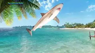 Fishing Clash: Catching Fish Game. Bass Hunting 3D Android Gameplay  2017
