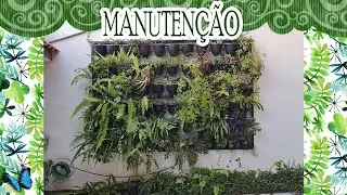 JARDIM VERTICAL, VENHA VER O MEU!