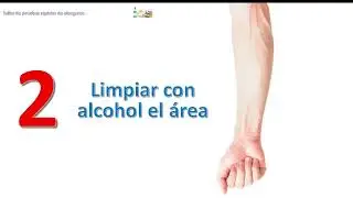 Taller de Pricks