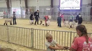Miles Round Robin Grant County Fair 2025